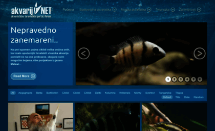 akvarij.net