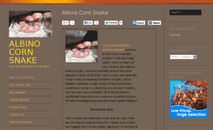 albino-corn-snake.com