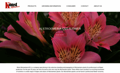 alstroemeria.com