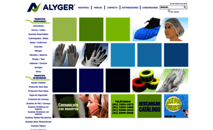 alyger.com