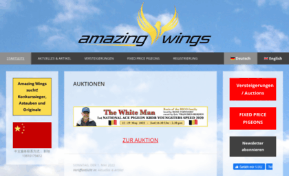 amazing-wings.com