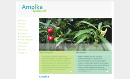 ampika.com