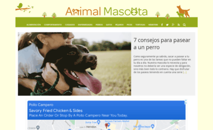 animalmascota.com