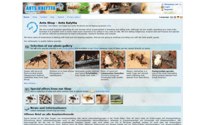 ants-kalytta.com