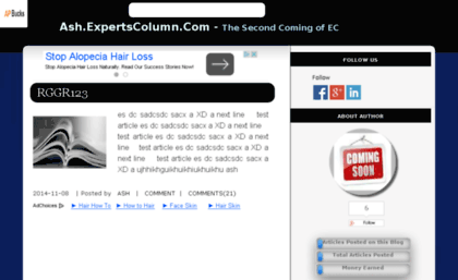 ash.expertscolumn.com