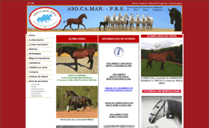 asocaman-pre.com