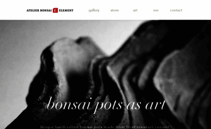 atelierbonsai-element.com