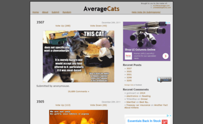 averagecats.com