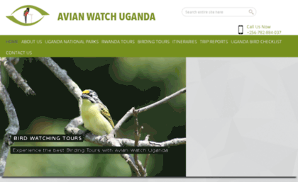 avianwatchuganda.co.ug