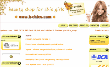 b-chics.com