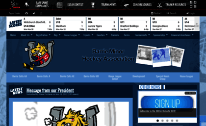 barrieminorhockey.net