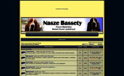 bassety.net