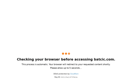 batcic.com