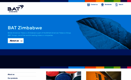 batzimbabwe.com