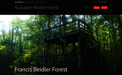 beidlerforest.com