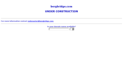 bergbridge.com