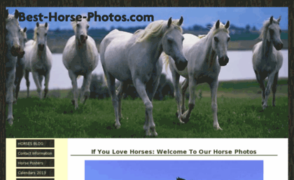 best-horse-photos.com