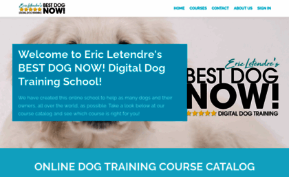 bestdogschool.com