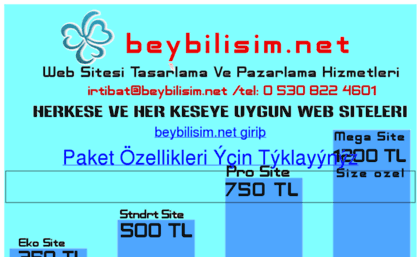 beybilisim.net