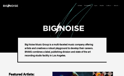 bignoise.com