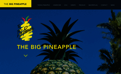 bigpineapple.com.au