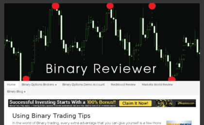 binaryreviewer.info