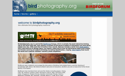 birdphotography.org