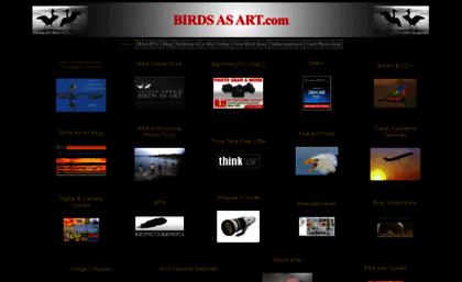 birdsasart.com