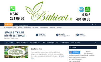 bitkievi.com