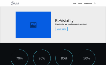 bizvisibility.com