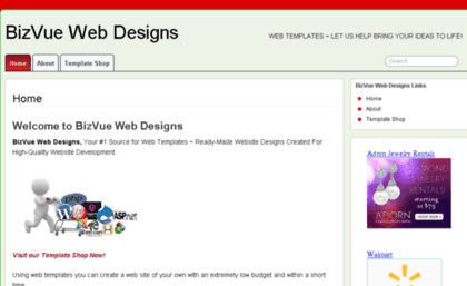 bizvuewebdesigns.com