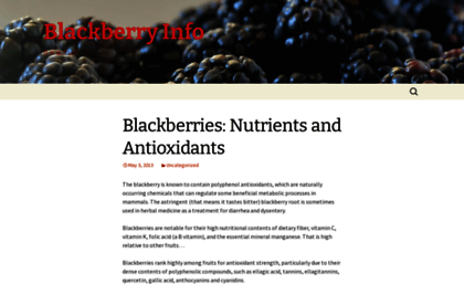 blackberry.info