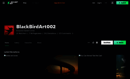 blackbirdart002.deviantart.com