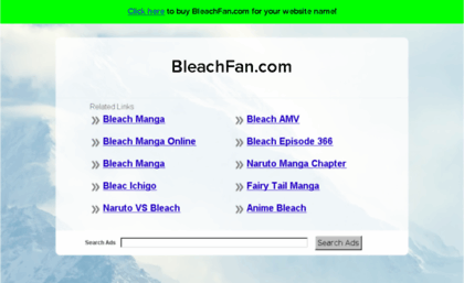 bleachfan.com