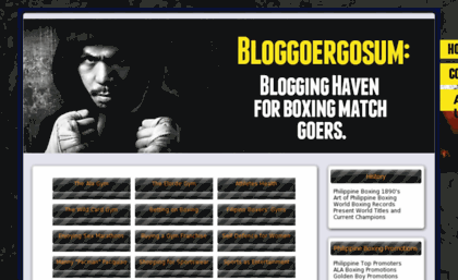 bloggoergosum.us