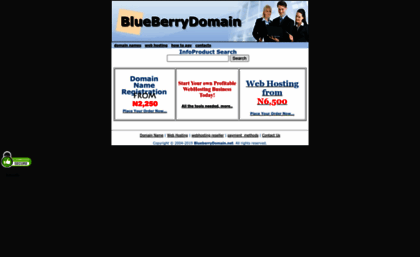 blueberrydomain.net