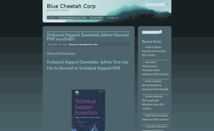 bluecheetah.us