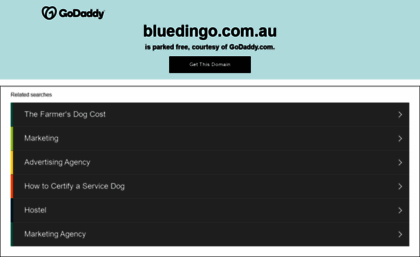 bluedingo.com.au