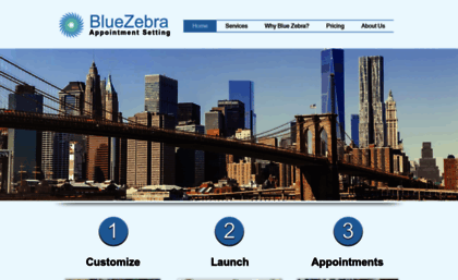 bluezebraappointmentsetting.com