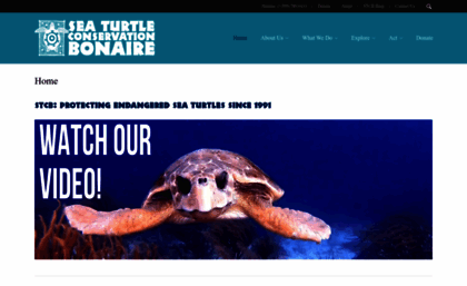 bonaireturtles.org