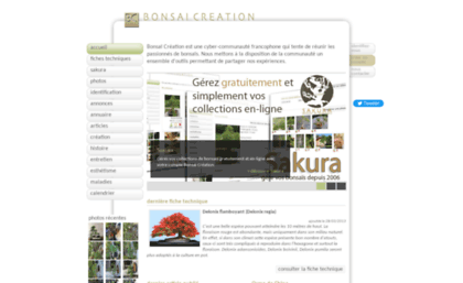 bonsai-creation.com