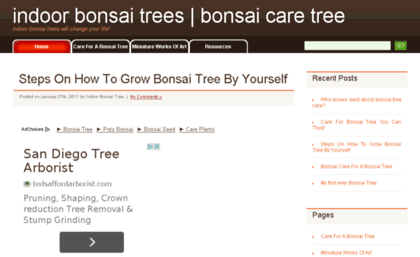 bonsai-tree-masters.com