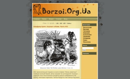 borzoi.org.ua