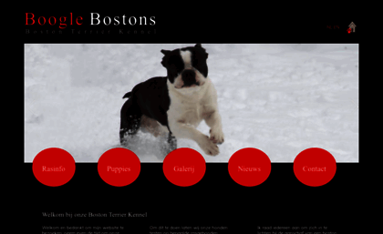 boston-terrier-kennel.com