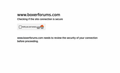 boxerforums.com