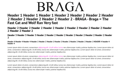 braga.com.pt