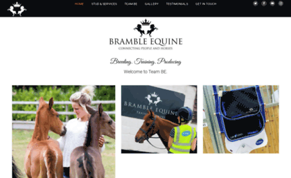 bramble-equine.co.uk