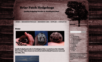 briarpatchhedgehogs.com