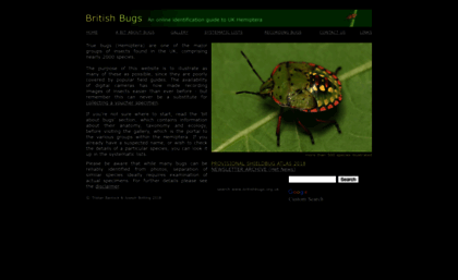 britishbugs.org.uk