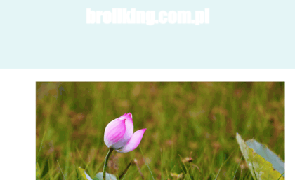 broilking.com.pl